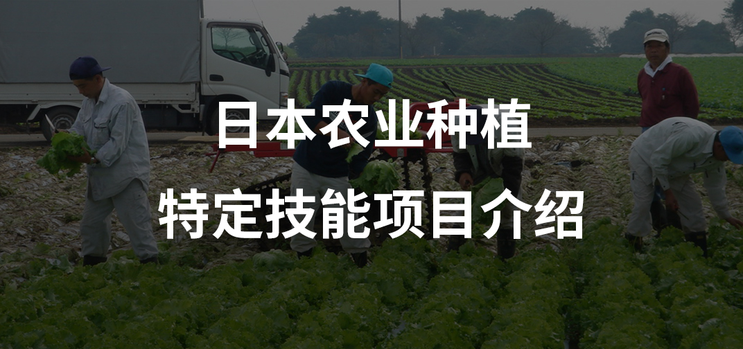 农业种植特定技能项目介绍